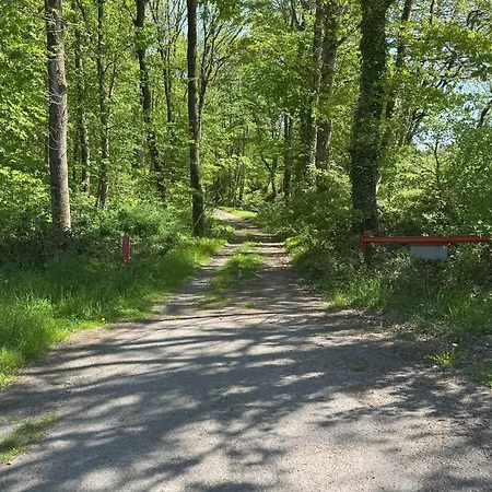 Urlaub Im Naturschutzgebiet Apartamento Detmold