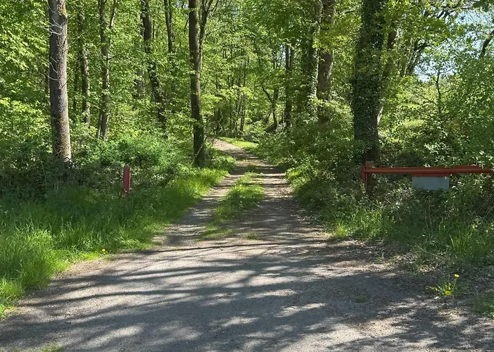 Urlaub Im Naturschutzgebiet Appartement Detmold